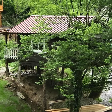 게스트하우스 Park Blini Shala River Moll' e Shoshit