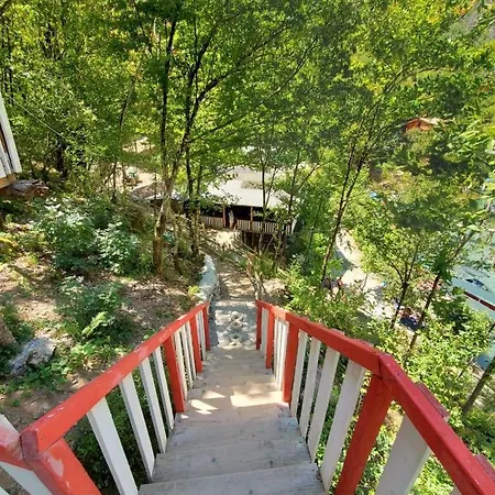 Park Blini Shala River * Moll' e Shoshit