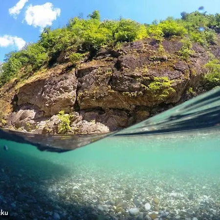 招待所 Park Blini Shala River Moll' e Shoshit